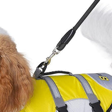 Sea Choice Dog Life Jacket