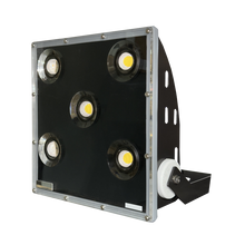 Sonaray Delta LED Flood Light