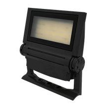 Sonaray NAMI Flood Light