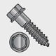 Stainless Steel Lag Bolt