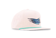 Bajio Ballyhoo FB 6PNL C BALLYHOOCFB