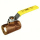 Conbraco/Apollo - Lever and Grip for Valve in Stainless Steel