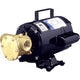 Jabsco Transfer Pump 6050-0003
