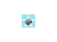 Sea Dog Snap Cap Socket Female