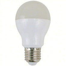 Scandvik A19 Bulb