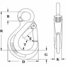 Crosby Alloy Eye Hook With Latch
