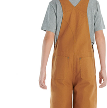 Carhartt - Wash Duck Lined Bibs Kids