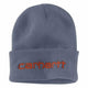 Carhartt - Logo Graphic Beanie