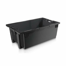 IPL Fish Totes