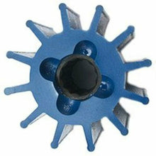 Globe - Water Pump Impeller