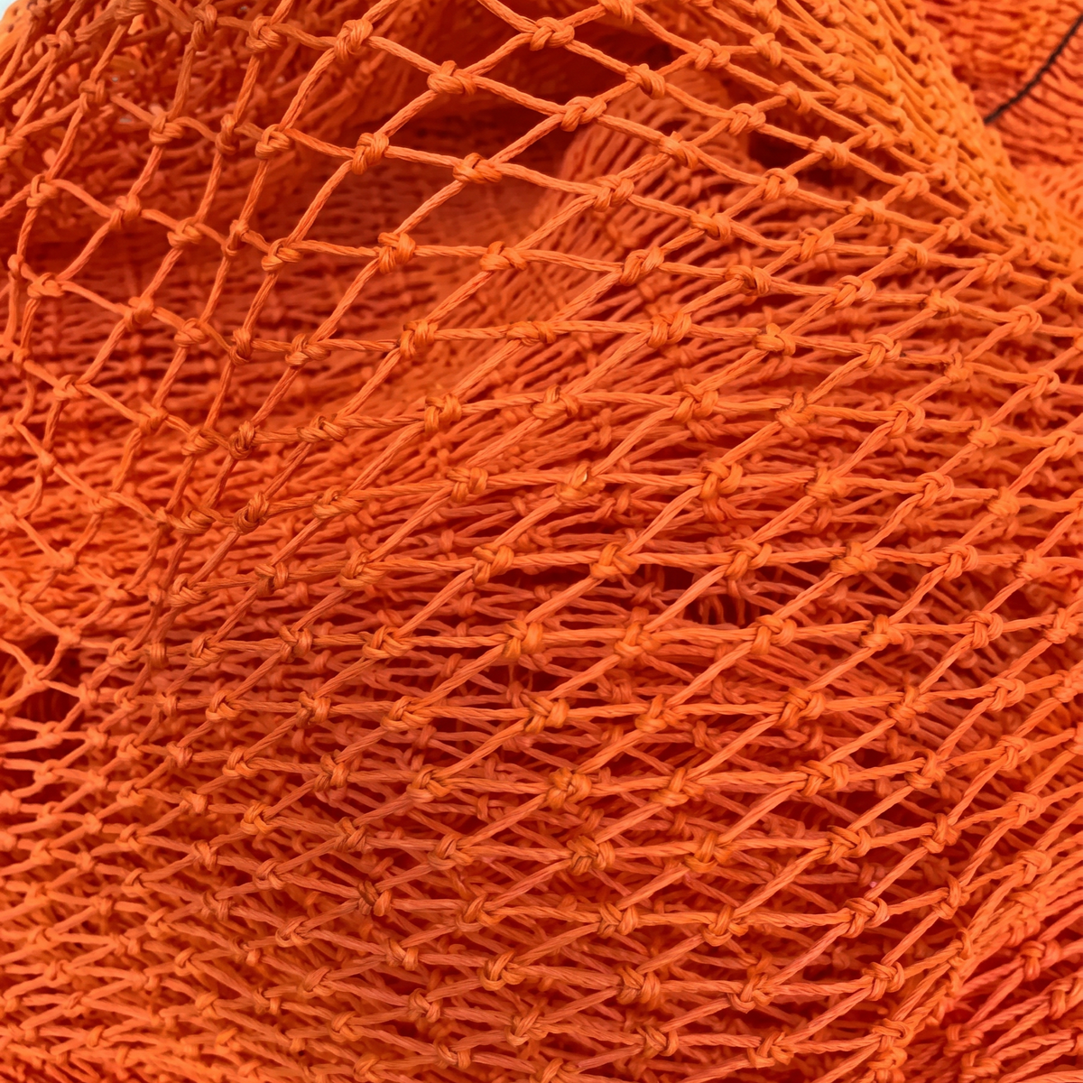 Sea Gear Single Tipto Compacted Webbing