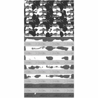 Tormenter - Nuff-Neck Muff Scallops