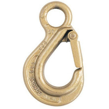 Crosby Alloy Eye Hook With Latch