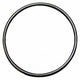 Pacer Pumps S8-0719-71 - Body O-Ring (Buna-N)