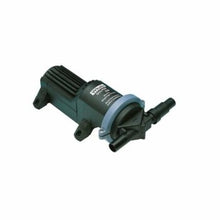 Whale Gulper 220 Electric Pump Diaphragm Waste Pump