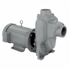 MP Pumps MP28398 Flomax Self Priming Centrifugal Pump
