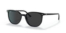 Ray Ban Evolution Elliot RB2197 Black Black 