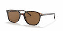 Ray Ban Evolution Leonard RB2193 Tortoise Brown 