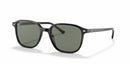 Ray Ban Evolution Leonard RB2193 Black Green 