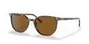 Ray Ban Evolution Elliot RB2197F Grey Brown 