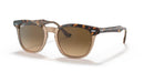 Ray Ban Evolution Hawkeye RB2298 Gold Brown 