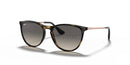 Ray Ban Kids Core Erika RJ9060S Tortoise Grey 