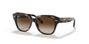 Ray Ban Kids Originals State Street RJ9186S Tortoise Dark Brown