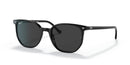 Ray Ban Evolution Elliot RB2197F Black Black 