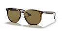 Ray Ban Core RB4306 Tortoise Dark Brown