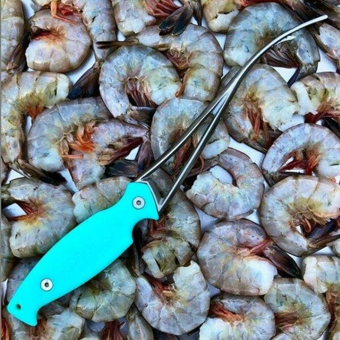 ToadFish - Frogmore Shrimp Cleaner Teal